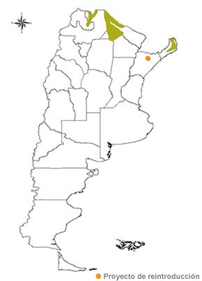 distribucion yaguarete