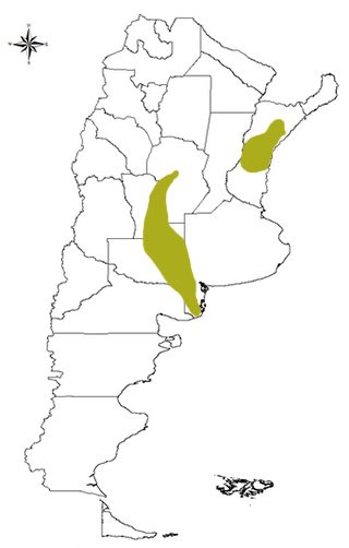 distribución del cardenal amarillo en argentina