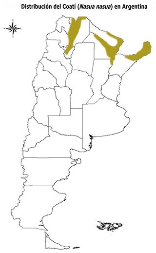 Mapa de distribución geográfica del coatí en Argentina