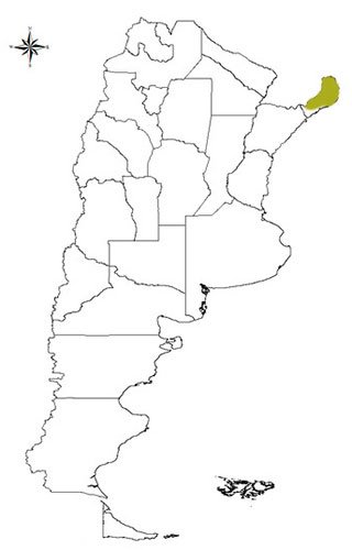 corzuela enana