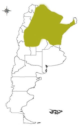 corzuela parda en argentina