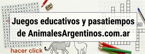 juegos y pasatiempos de fauna argentina