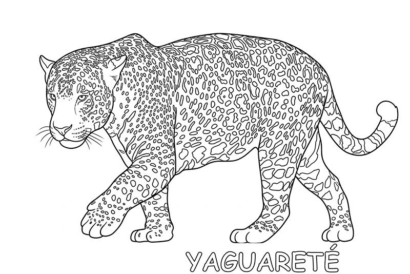  para colorear imprimir